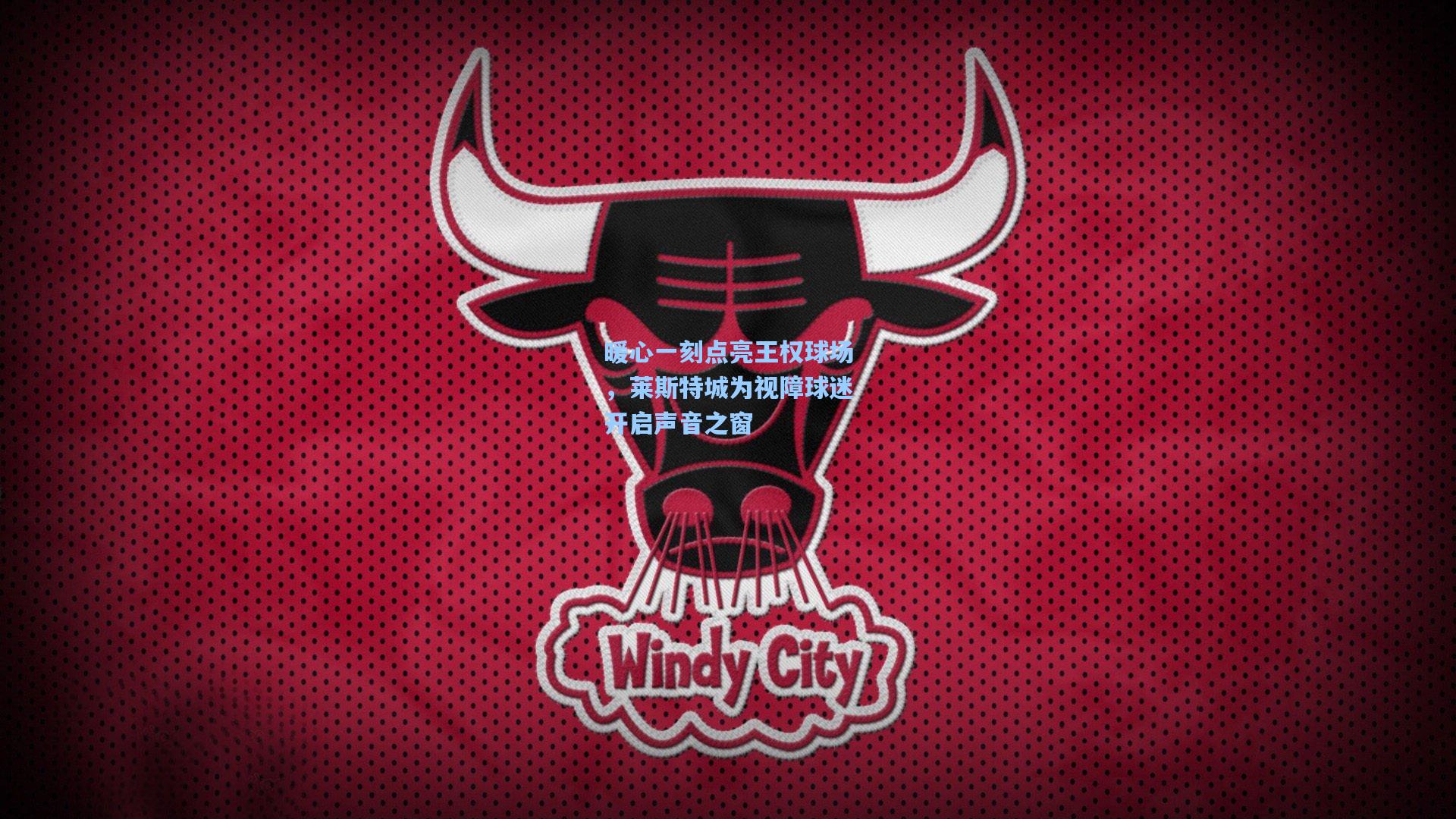 暖心一刻点亮王权球场，莱斯特城为视障球迷开启声音之窗